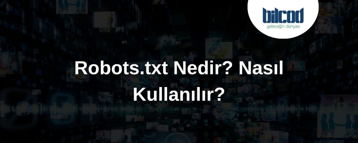 What is Robots.txt? How to Use It?
