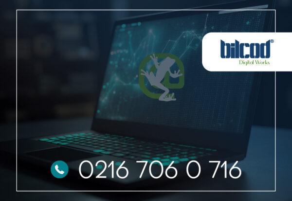 Screaming Frog Nedir, Nasıl Kullanılır?